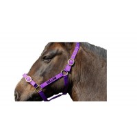Personalised Embroidered Headcollar Pony Size