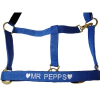 Personalised Embroidered Padded Headcollar Extra Full Size