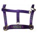 Personalised Embroidered Padded Headcollar Extra Full Size