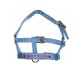 Personalised Embroidered Headcollar Miniature Foal Size